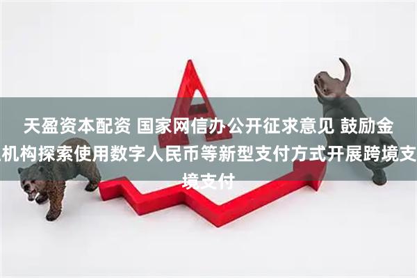 天盈资本配资 国家网信办公开征求意见 鼓励金融机构探索使用数字人民币等新型支付方式开展跨境支付