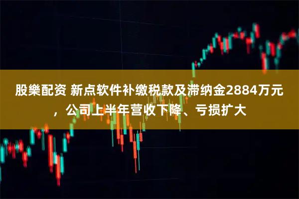 股樂配资 新点软件补缴税款及滞纳金2884万元，公司上半年营收下降、亏损扩大
