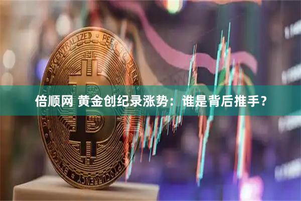 倍顺网 黄金创纪录涨势：谁是背后推手？