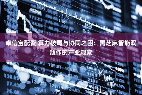 卓信宝配资 算力破局与协同之困：黑芝麻智能双动作的产业观察