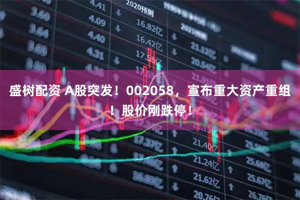 盛树配资 A股突发！002058，宣布重大资产重组！股价刚跌停！